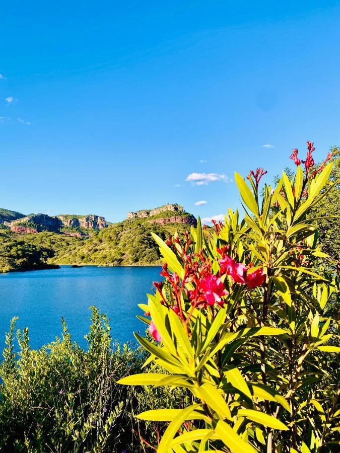 Apartaments Chenin Blanc-Priorat- Cornudella de Montsant Bagian luar foto